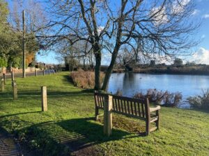 photo looking across the Pond, with Bench